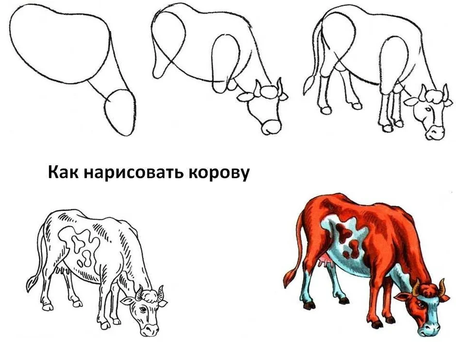 Как нарисовать корову пошагово