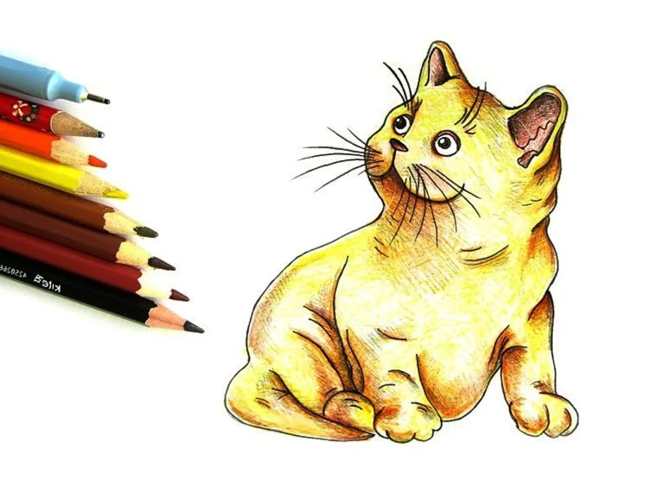 Кот рисунок цветной. Кошка цветными карандашами. Рисунки котов. Кошки рисунки карандашом цветными. Кошка фломастерами.