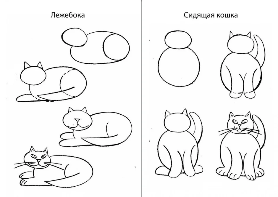 Нарисовать кошку 1 класс окружающий мир образец проект