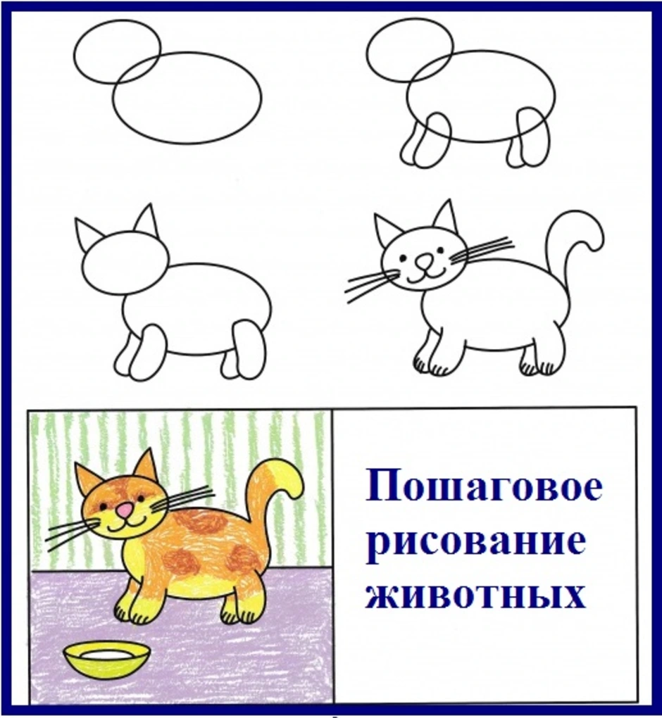 Нарисовать кошку поэтапно для детей. Поэтапное рисование кошки в старшей группе. Поэтапное рисование кошки в средней группе. Рисование котенка дошкольниками. Кошка для рисования для детей.