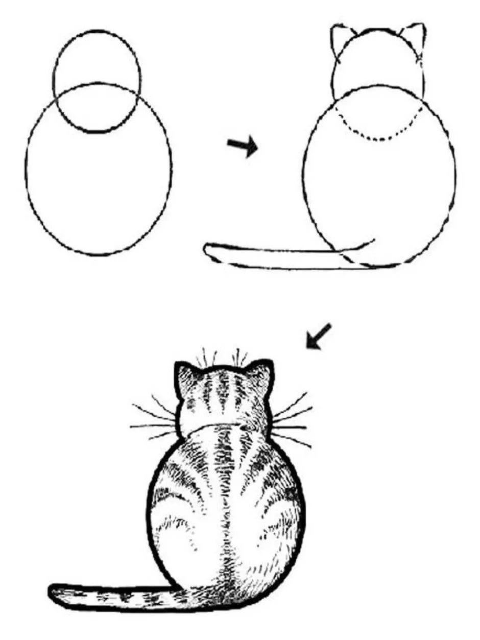 Схема рисования кошки для детей средней группы