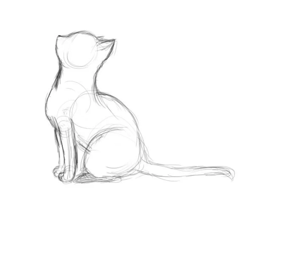Кошка. Поэтапное рисование - презентация онлайн