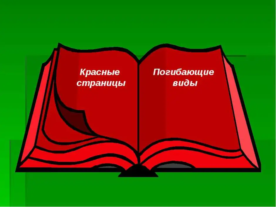 Нарисовать красную книгу