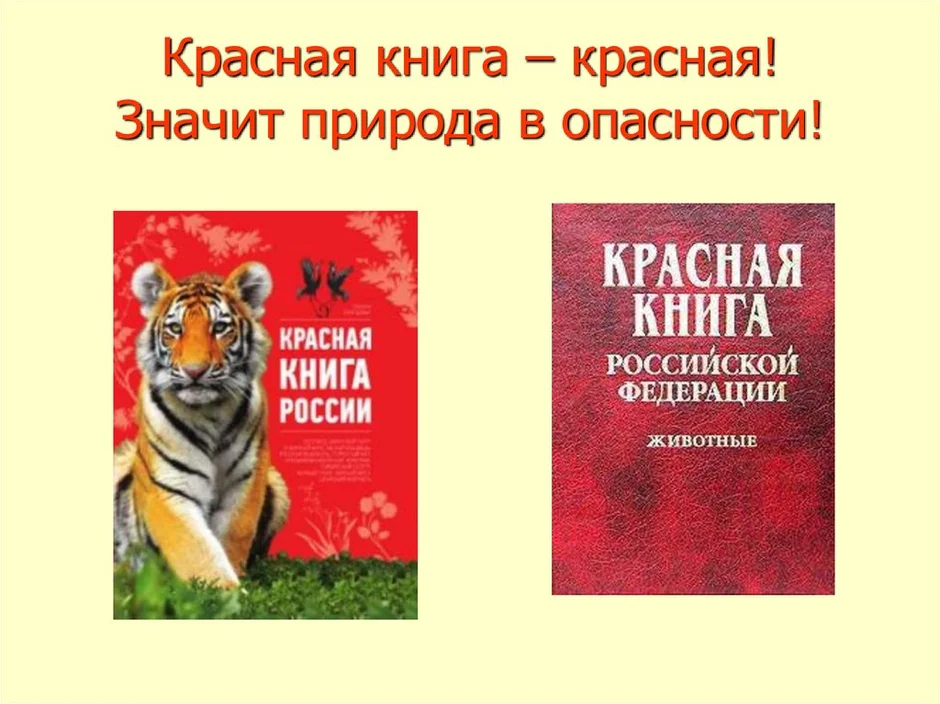 Нарисовать красную книгу