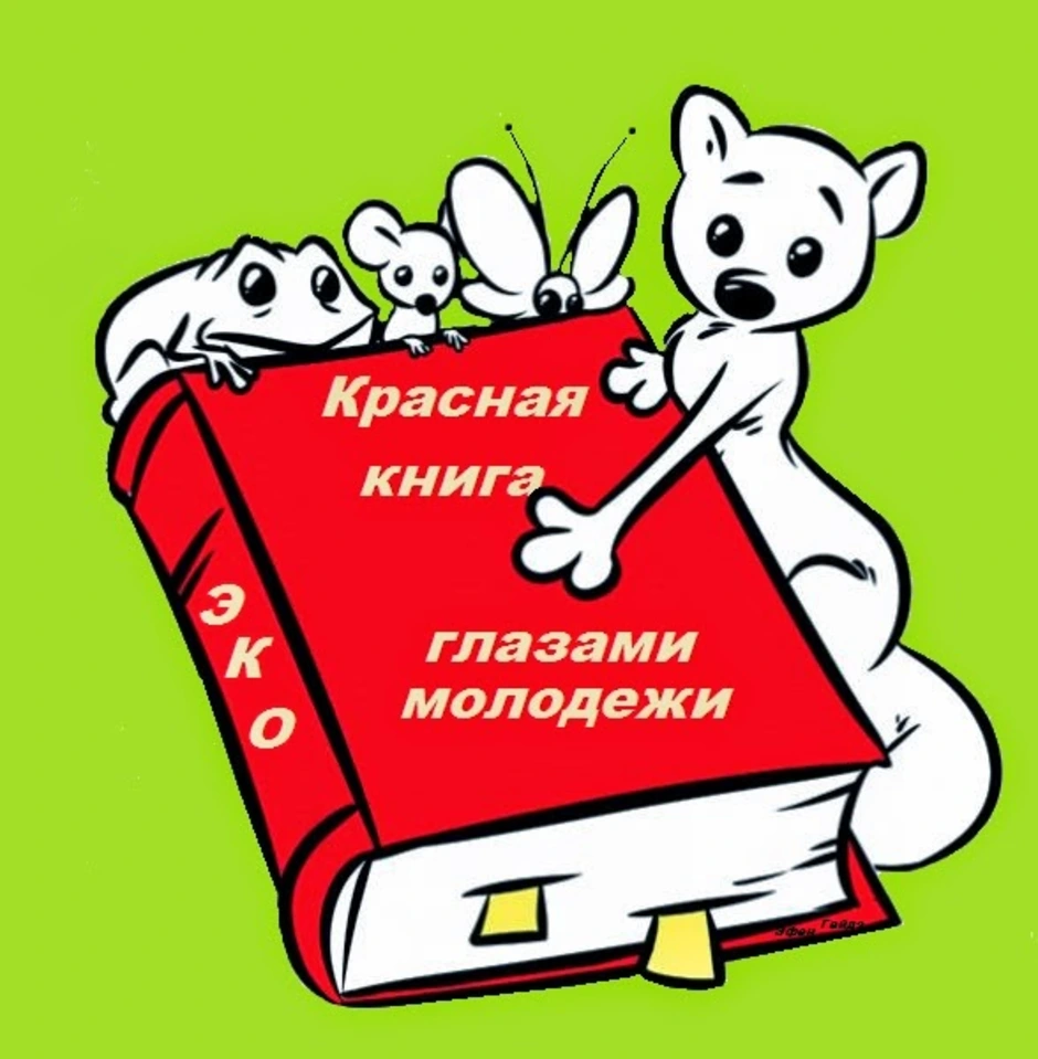 Красная книга рисунок. Нарисовать красную книгу. Красная книга рисовать. Красная книга рисунок для детей.