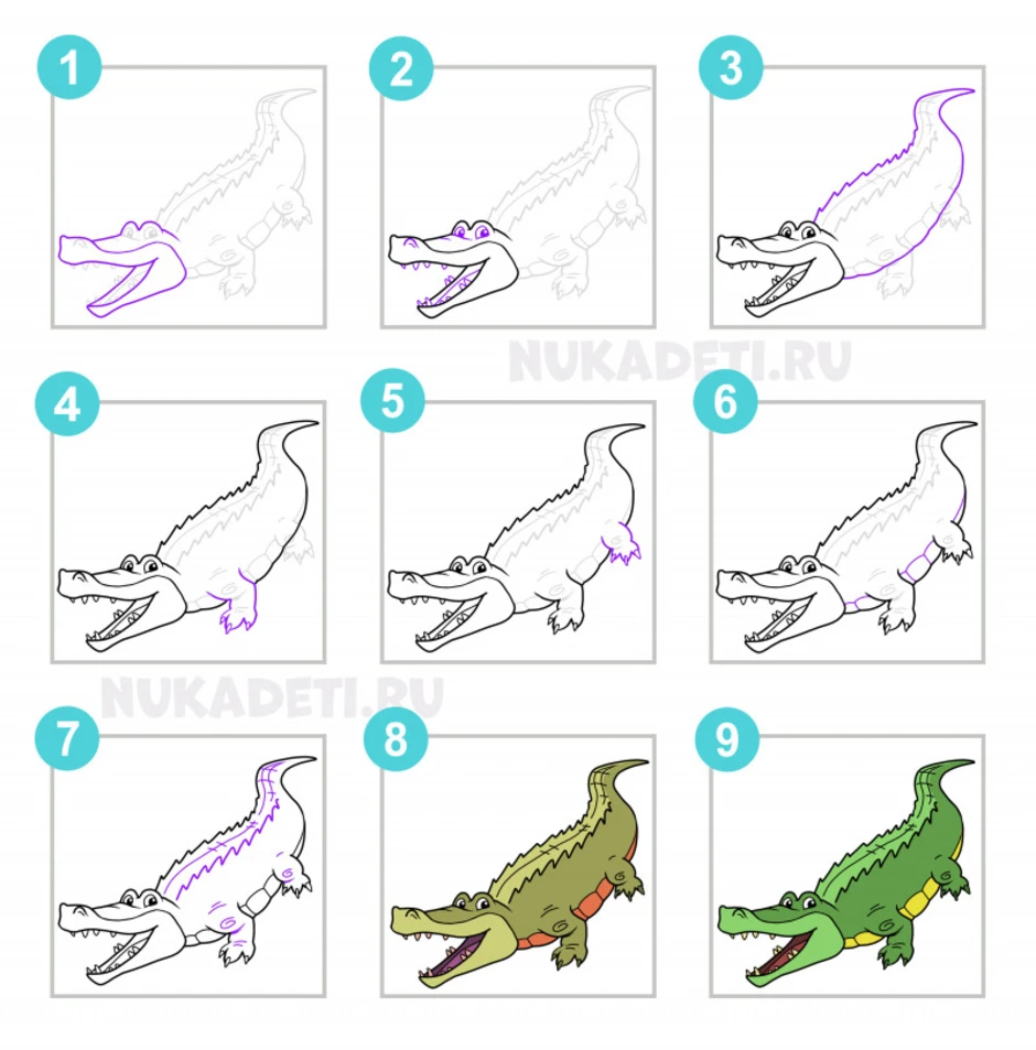 Схема крокодила для начинающих. Крокодил рисунок поэтапно. Поэтапное рисование крокодила. Урок рисования крокодил а. Как нарисовать крокодила поэтапно.