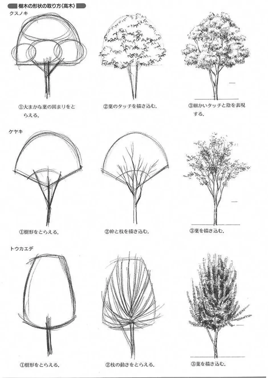 картинки деревьев для начинающих