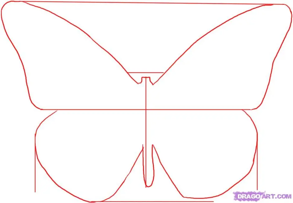 Как рисовать крылья бабочки