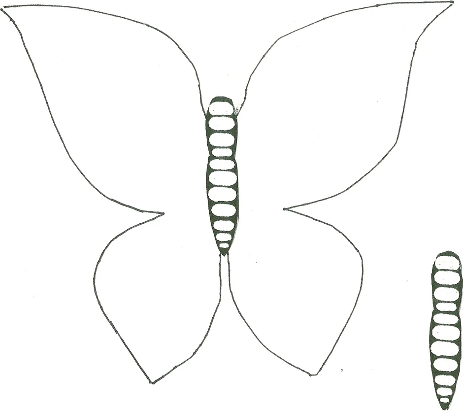 Как нарисовать бабочку для вырезания