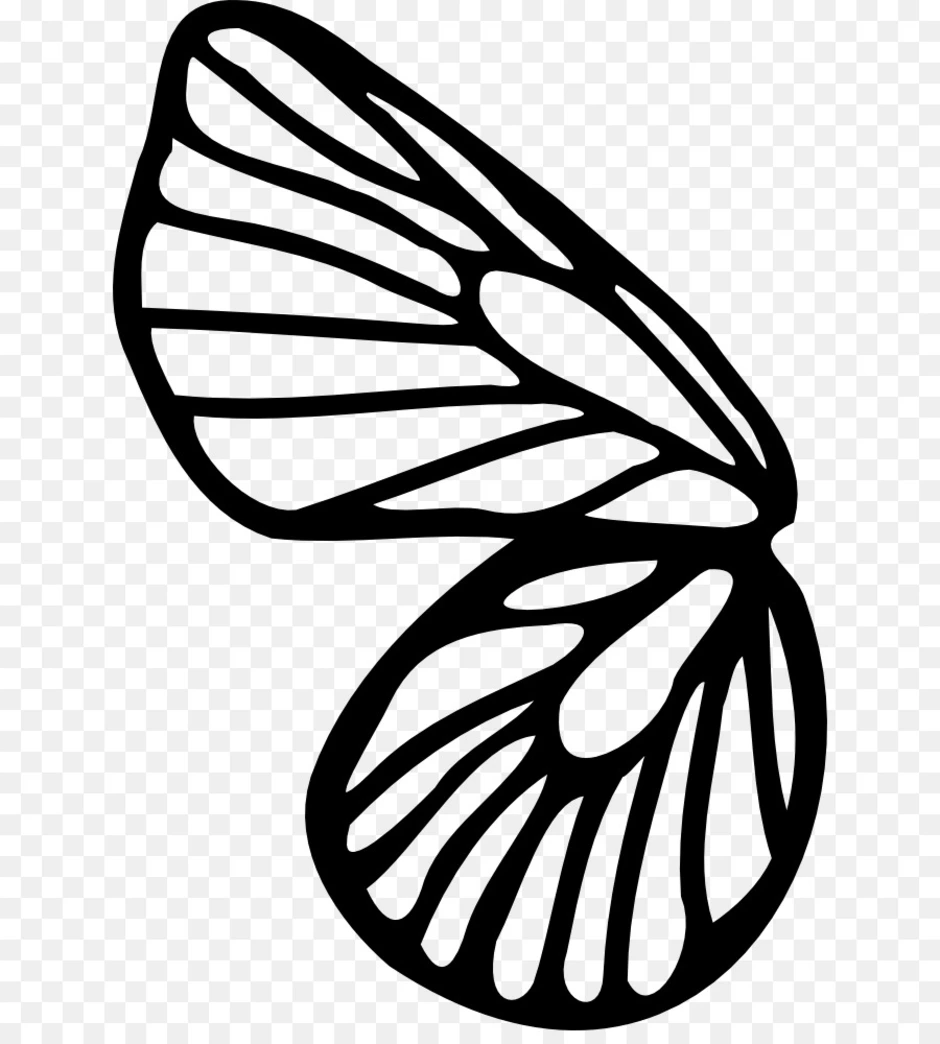 Простые крылья бабочки. Бабочка рисунок. Крылья бабочки вектор. Крылья бабочки контур. Векторные бабочки.