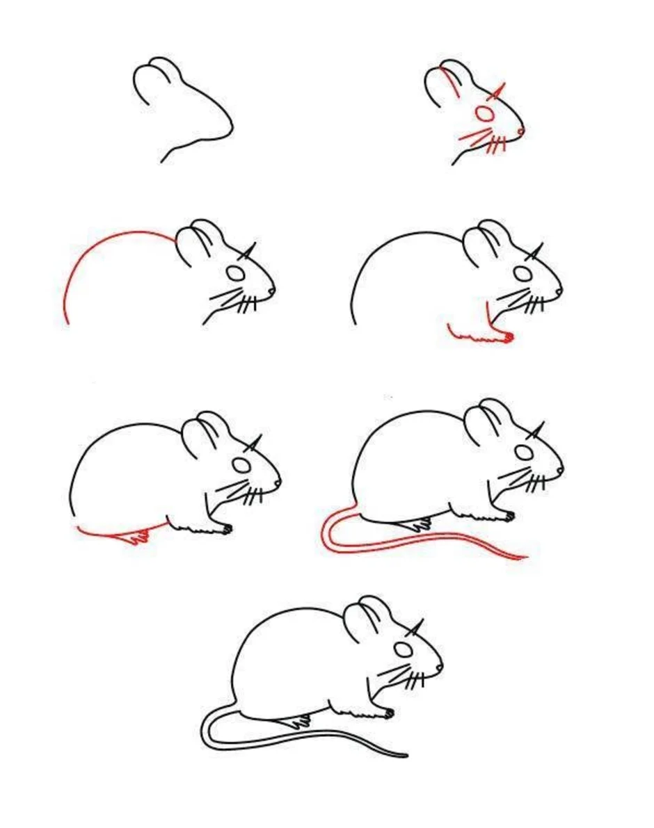 Как легко нарисовать мышку. Поэтапное рисование крысы. Рисования мышки пошагово. Крыса рисунок. Мышка рисунок для детей карандашом.