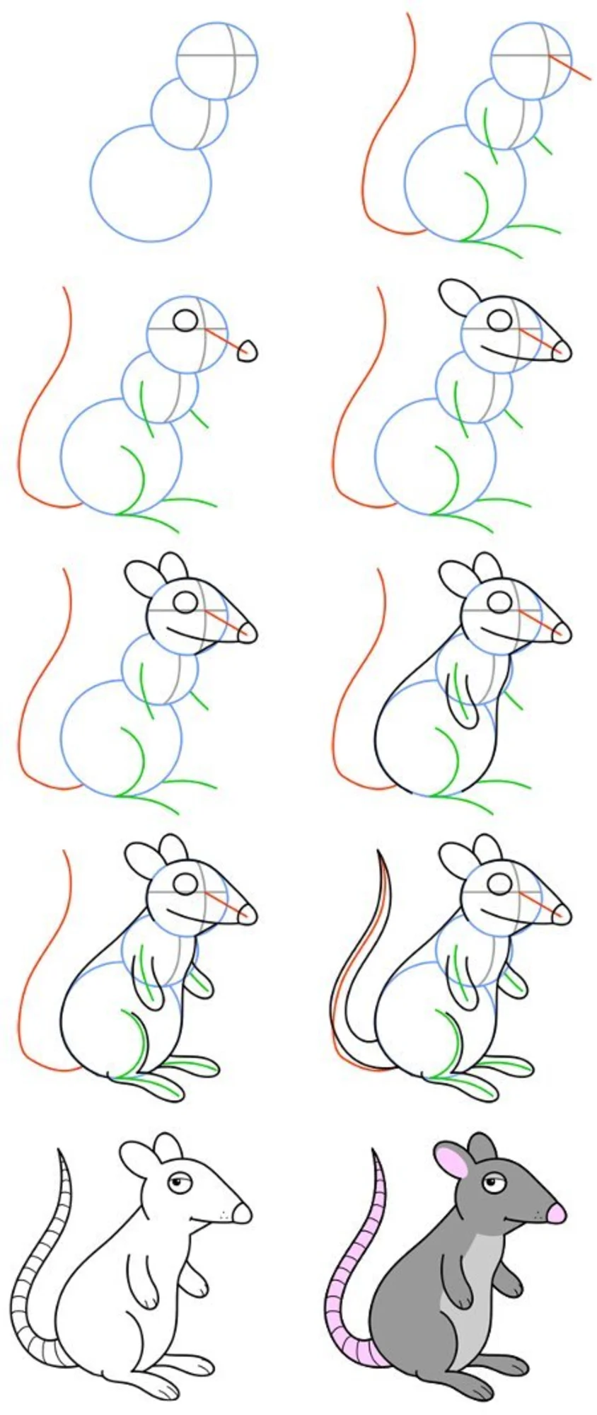 Как легко нарисовать мышку. Поэтапное рисование крысы. Рисования мышки пошагово. Поэтапное рисование мышь для детей. Крыса рисунок поэтапно.