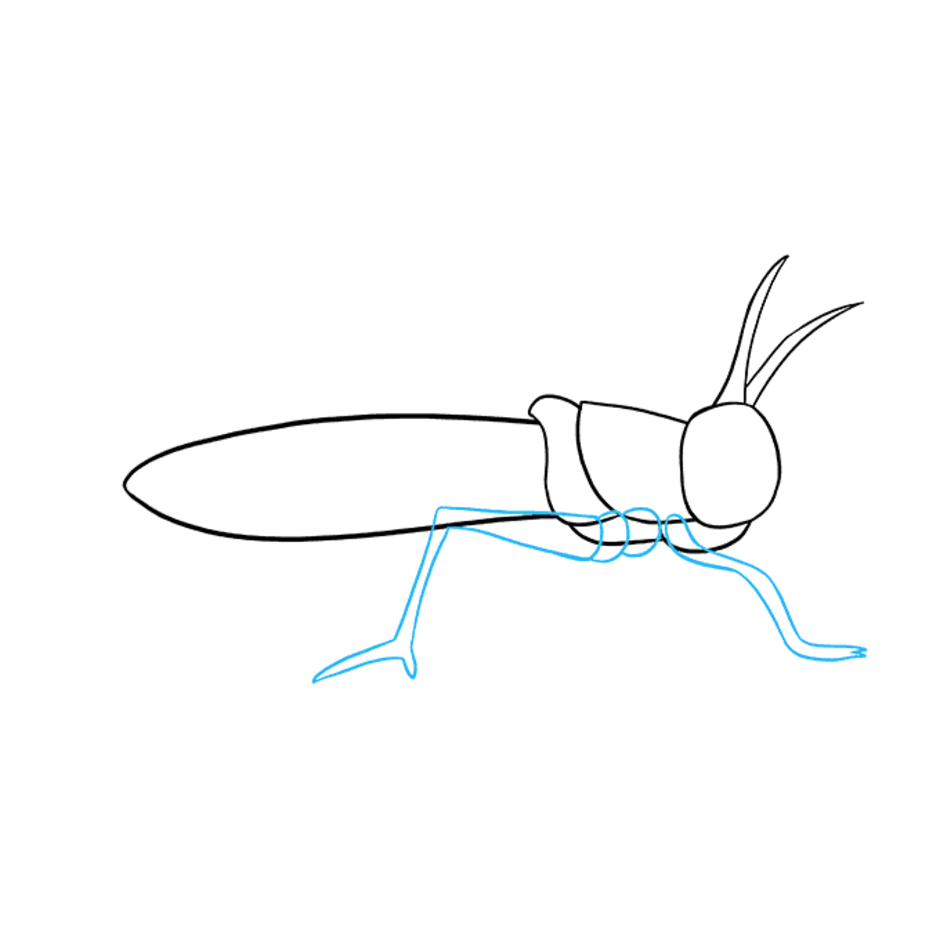 Как карандашом нарисовать кузнечика карандашом поэтапно