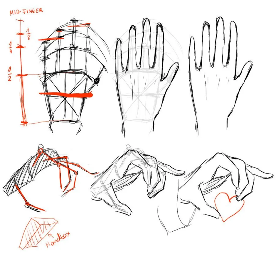 Как нарисовать руку поэтапно – Рисуем человеческую ладонь пошагово