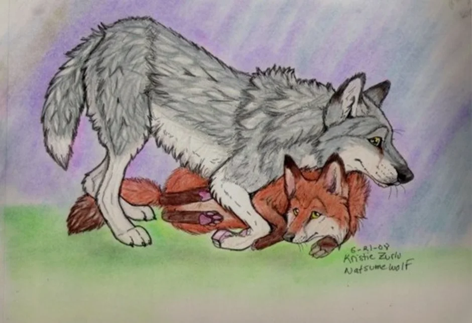 Рисунки лисов и волков. Лиса и волк рисунок. Лисичка и волк. Лисенок и Волчонок. Лисы и волки.