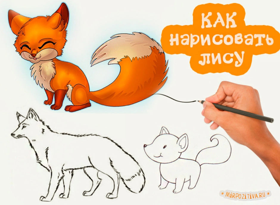 Лиса как нарисовать лису