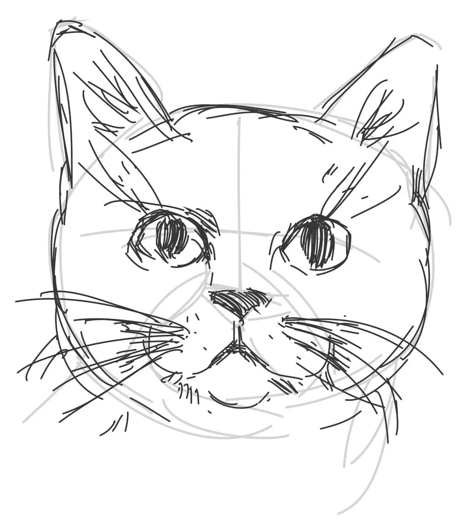 Как Нарисовать Лицо Кота (52 Фото)