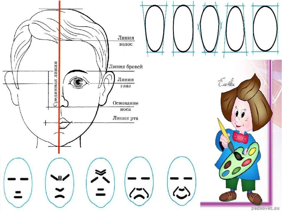 Нарисовать схему ребенка. Схема рисования портрета. Схема рисования портрета для дошкольников. Схема рисования лица человека для дошкольников. Схема рисования портрета для детей подготовительной группы.
