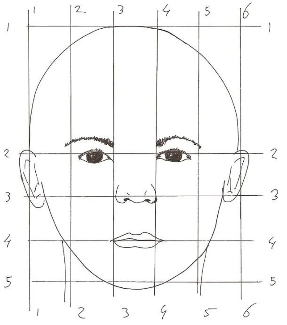 Пропорции лица человека при рисовании портрета схема