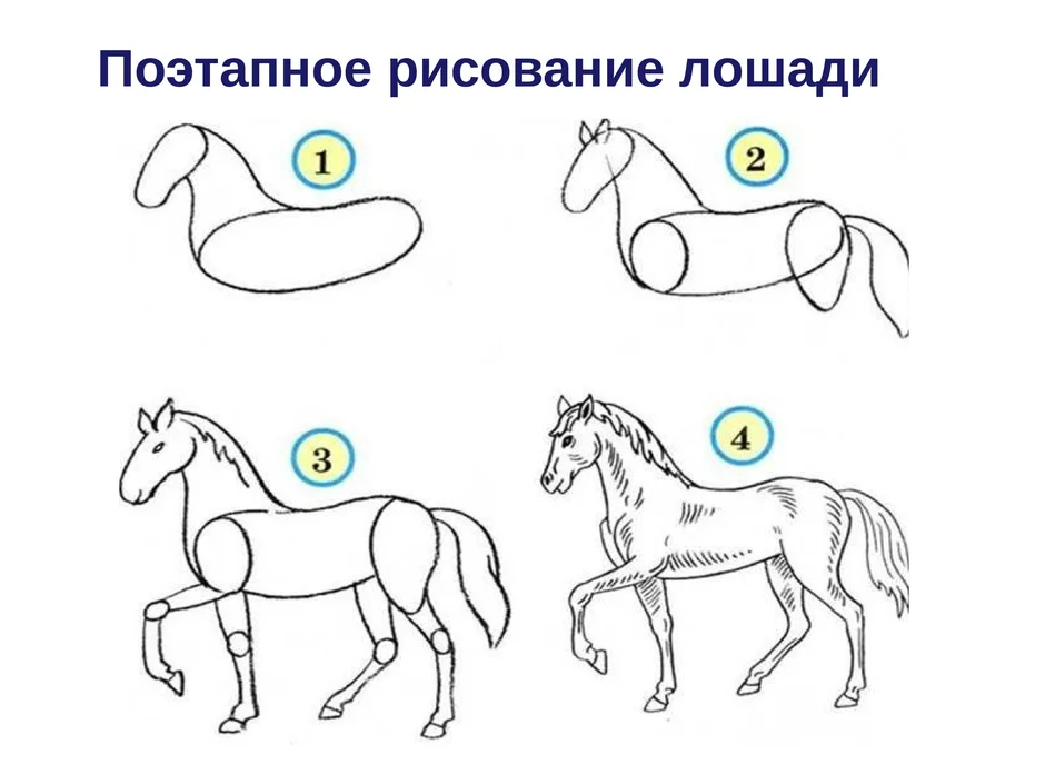 Как рисовать лошадь с боку