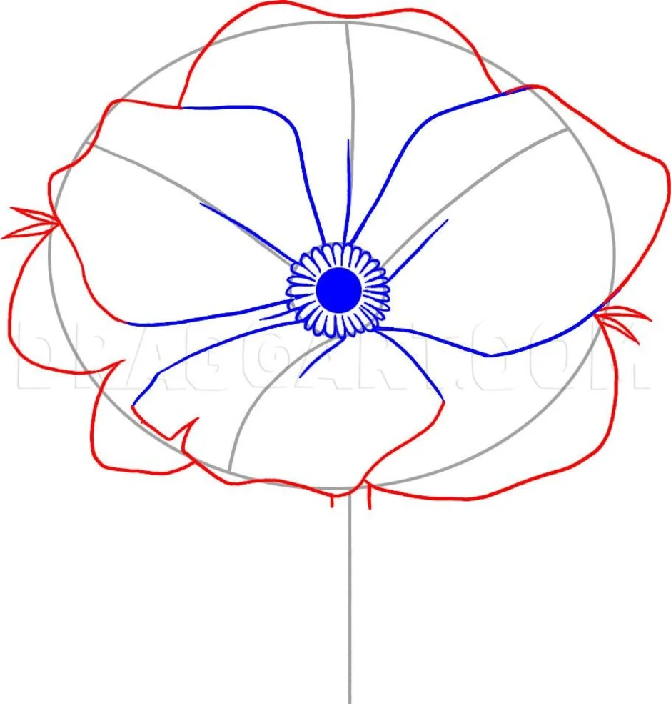 Рисунок аленький цветочек карандашом. Поэтапное рисование мака. Поэтапное рисование цвета мака.. Цветки мака поэтапно. Маки цветы нарисовать поэтапно.