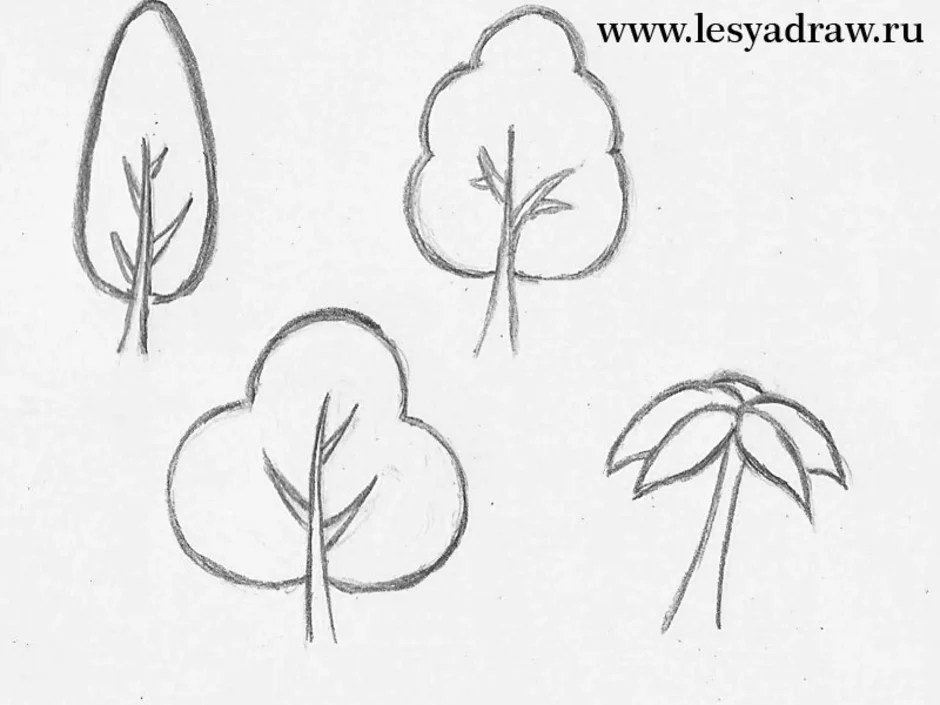 Название простых рисунков. Поэтапное рисование деревьев и кустарников. Маленькое дерево для срисовки. Карандаш дерево маленький. Легкиеlthtdmz для рисования.