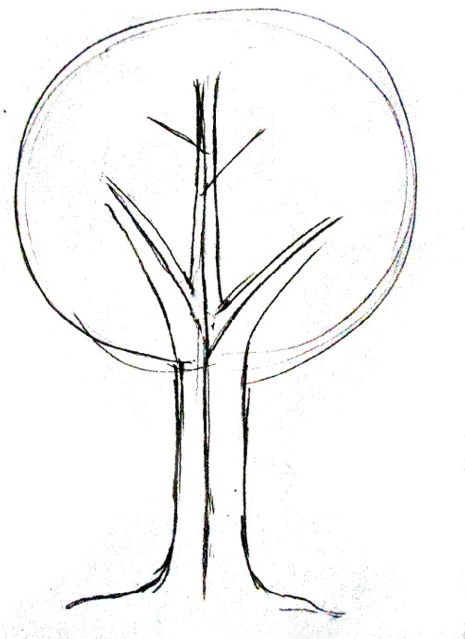 Как рисовать дерево. Деревья небольшие карандашом. Карандаш дерево маленький. Нарисовать маленькое дерево карандашом. Яблоня рисунок легкий.