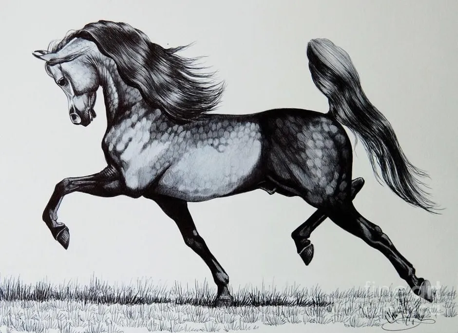 Лошадь картинки рисунки. Лошадь рисунок. Конь набросок. Нарисовать лошадь. Лошадь эскиз.