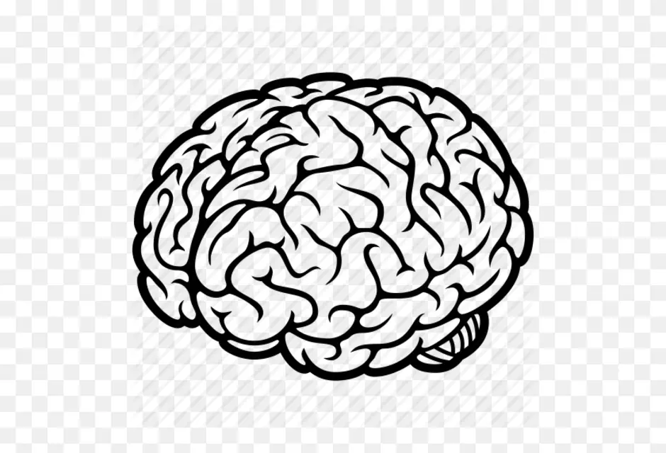 Мозг схематично. Мозг очертания. Векторный мозг. Мозг черно белый.