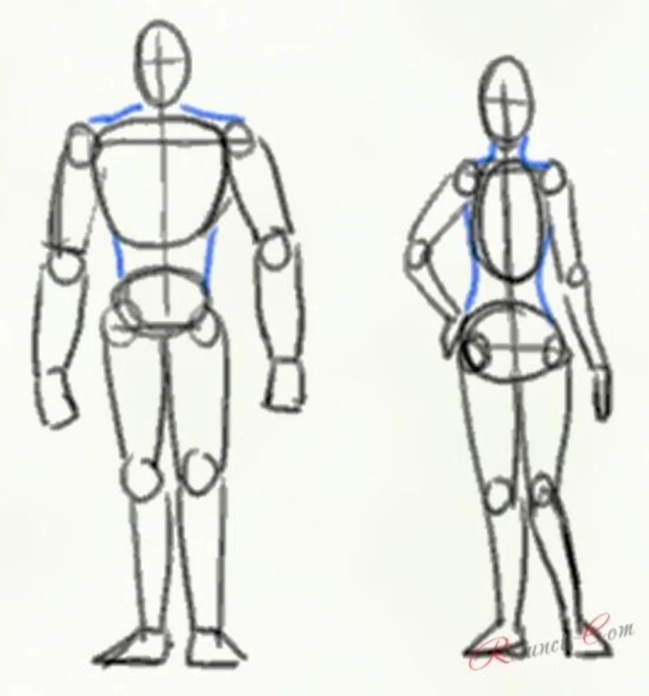 Правильная структура тела. Схема рисования человека. Человек рисунок. Фигура человека рисунок. Построение тела.