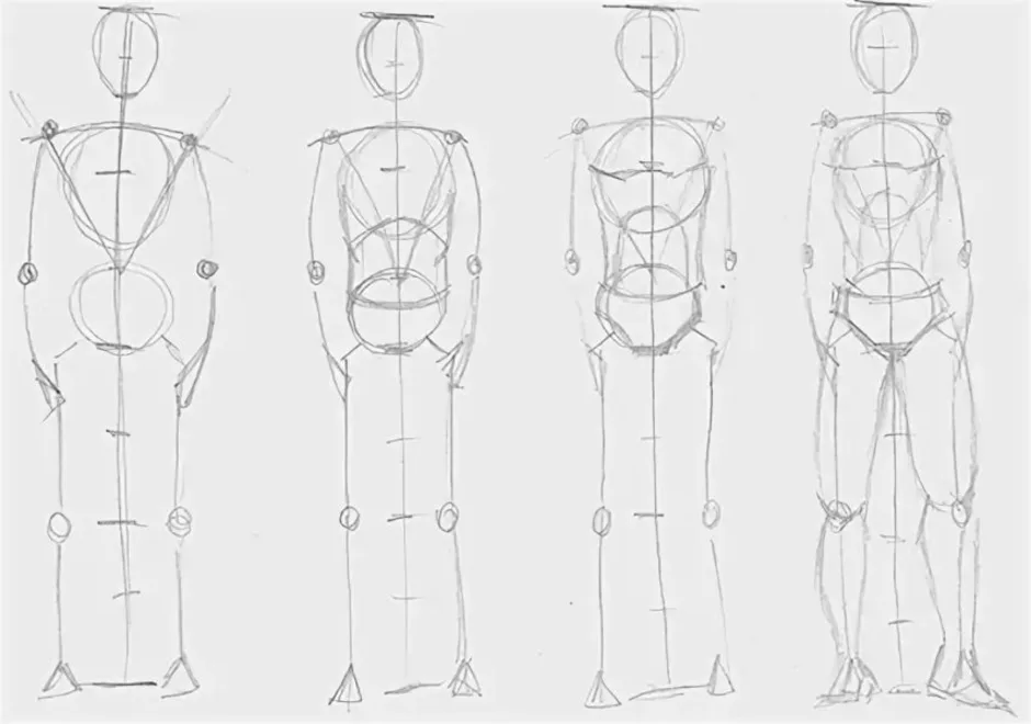 Как нарисовать тело человека