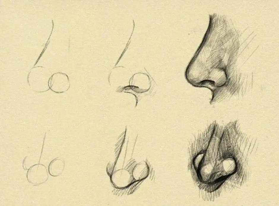 Нос как рисовать пошагово