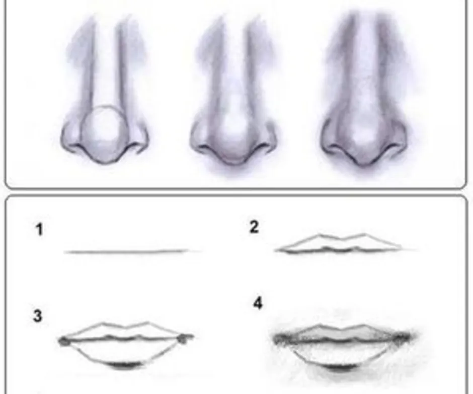 Как научиться рисовать нос и губы