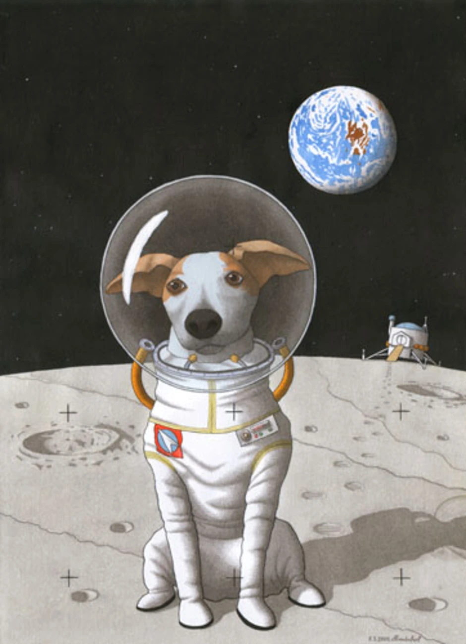 Картинка белка и стрелка в космосе. Белка и стрелка. Собака в скафандре. Белка и стрелка в космосе. Космическая собака.
