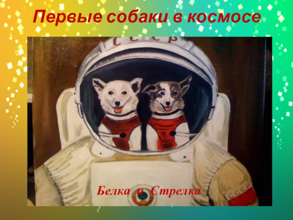 Белка и стрелка в космосе дата. Собаки космонавты лайка белка и стрелка. Первые космические путешественники белка и стрелка. Гагарин и белка и стрелка. Собаки в космосе елка и стрелка.
