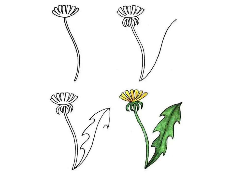 Как рисовать листики одуванчика