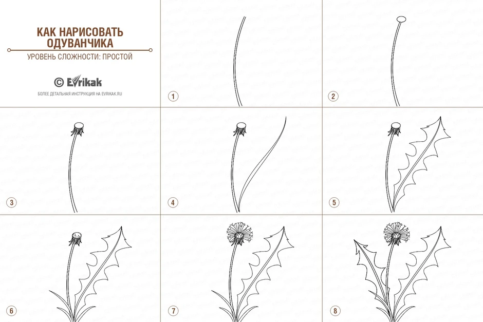 Рисунок одуванчики 5 класс