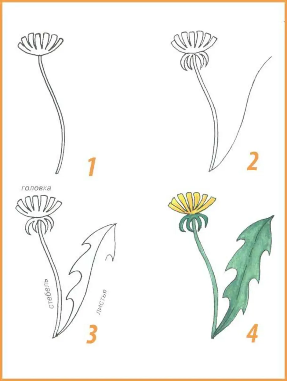 Нарисовать одуванчики красками поэтапно