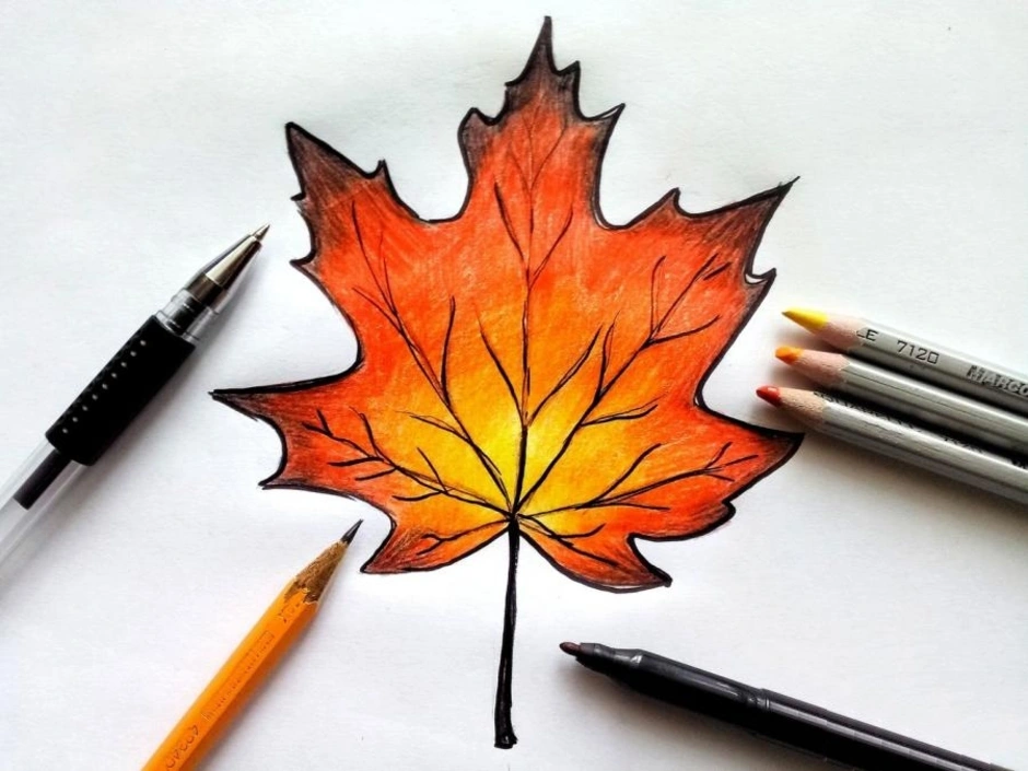 Как можно раскрасить 5 листочков. Кленовый лист рисунок. Кленовый лист цветными карандашами. Рисование осенними листьями. Кленовый лист карандашом.
