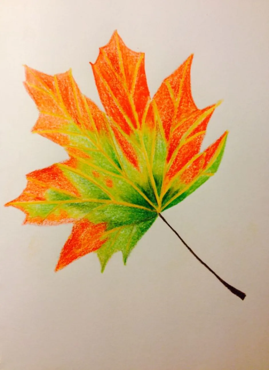 Как можно раскрасить 5 листочков. Кленовый лист. Красивые листья. Листики осенние. Рисование листьев.