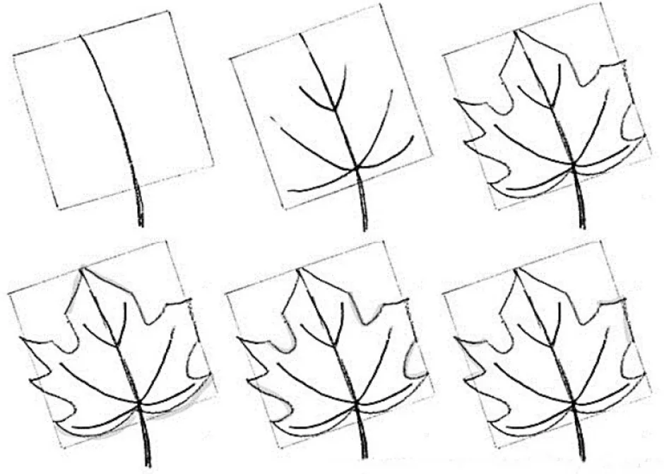 Осенние листья: картинки, шаблоны, трафареты. Трафарет листьев