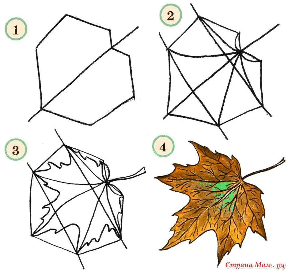 Как легко нарисовать листья