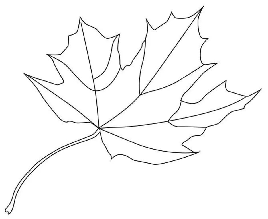 Картинка лист карандашом. Рисование на листьях клена. Лист клена карандашом. Кленовый лист рисунок карандашом. Осенние листья рисунок карандашом.
