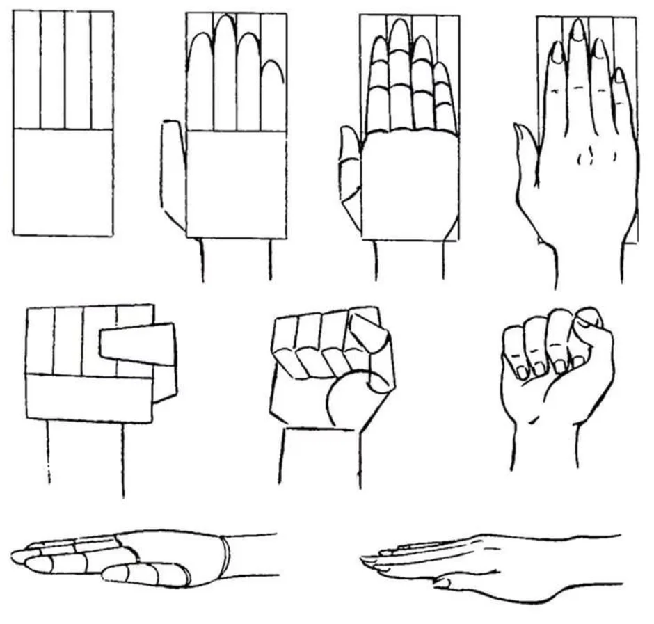 Руки как правильно нарисовать