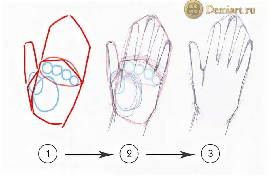 Как нарисовать руку схема