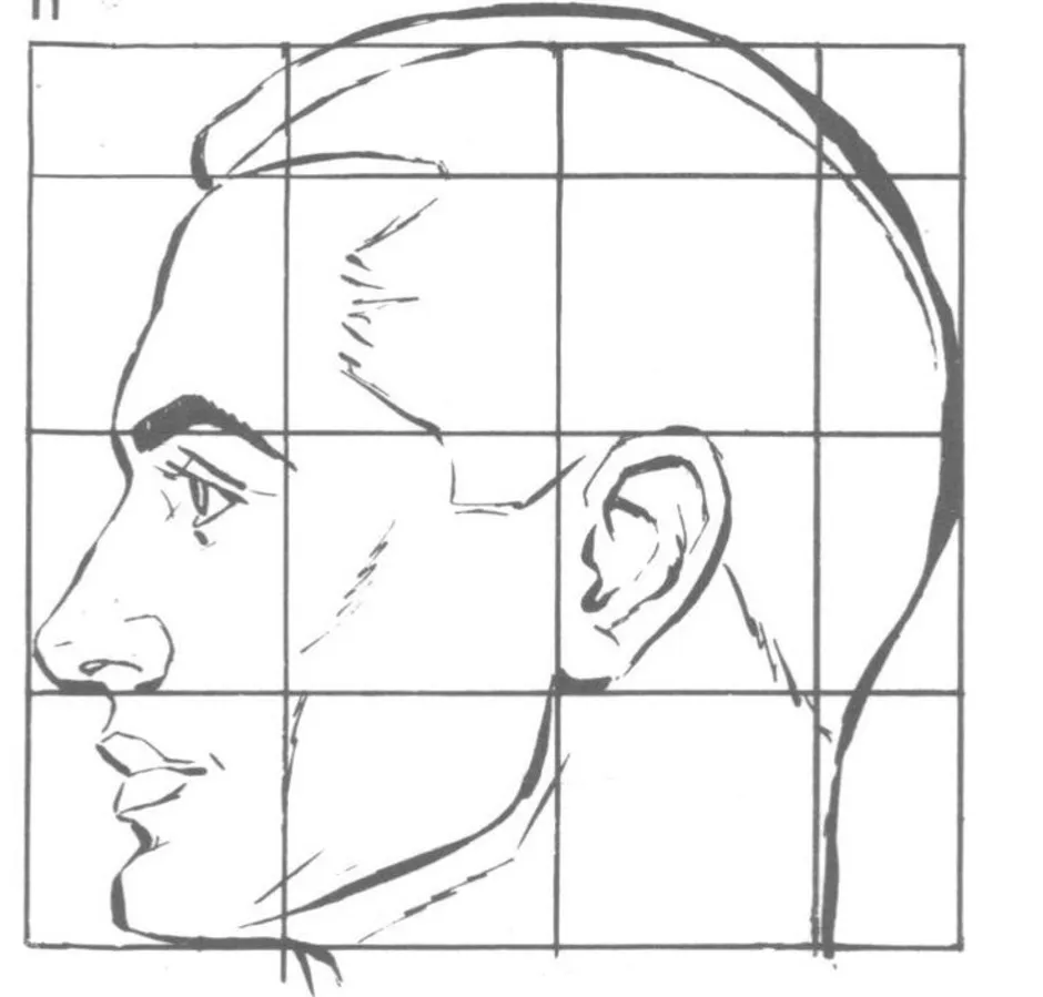 Рисунок головы человека. Профиль лица сбоку пропорции. Построение портрета сбоку. Пропорции портретов сбоку. Построение головы человека сбоку.