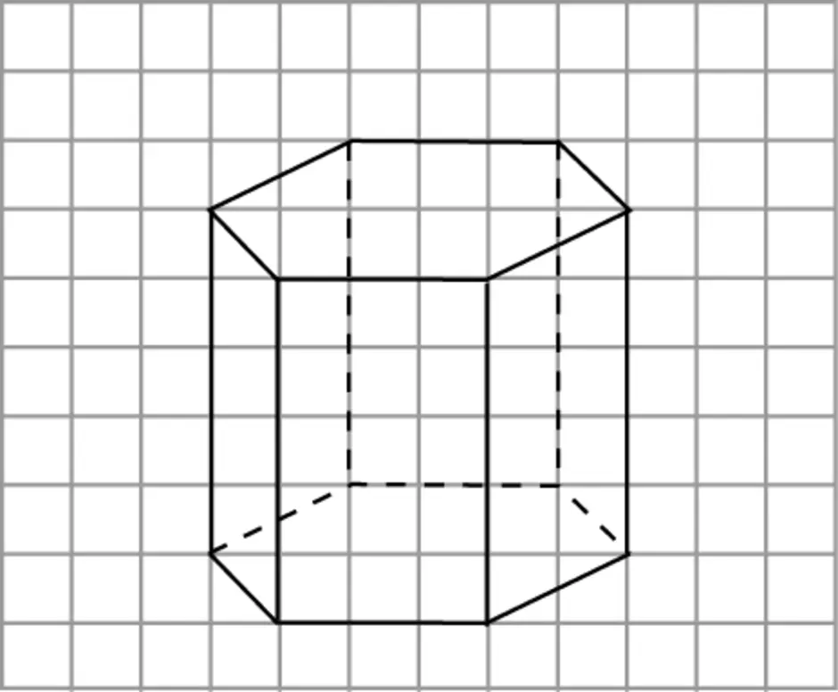 Прямая на клетках. Правильная 6 угольная Призма. Правильная семиугольная Призма. Правильная шестиугольная Призма по клеточкам. Наклонная шестиугольная Призма по клеточкам.