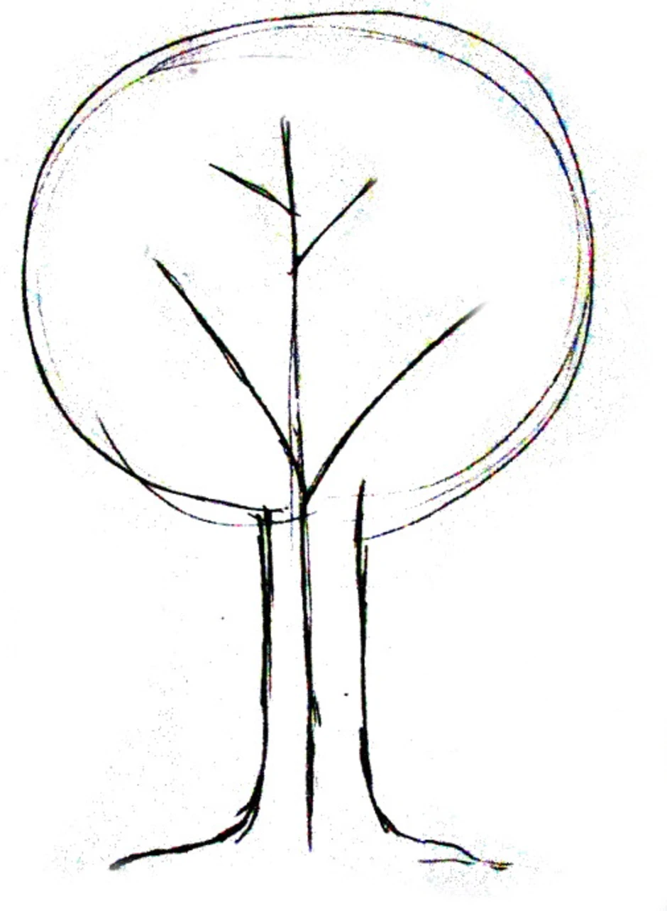 Как рисовать дерево. Дерево для срисовки легко. Легкое рисование дерева. Дерево карандашом легкое. Нарисовать легкое дерево.