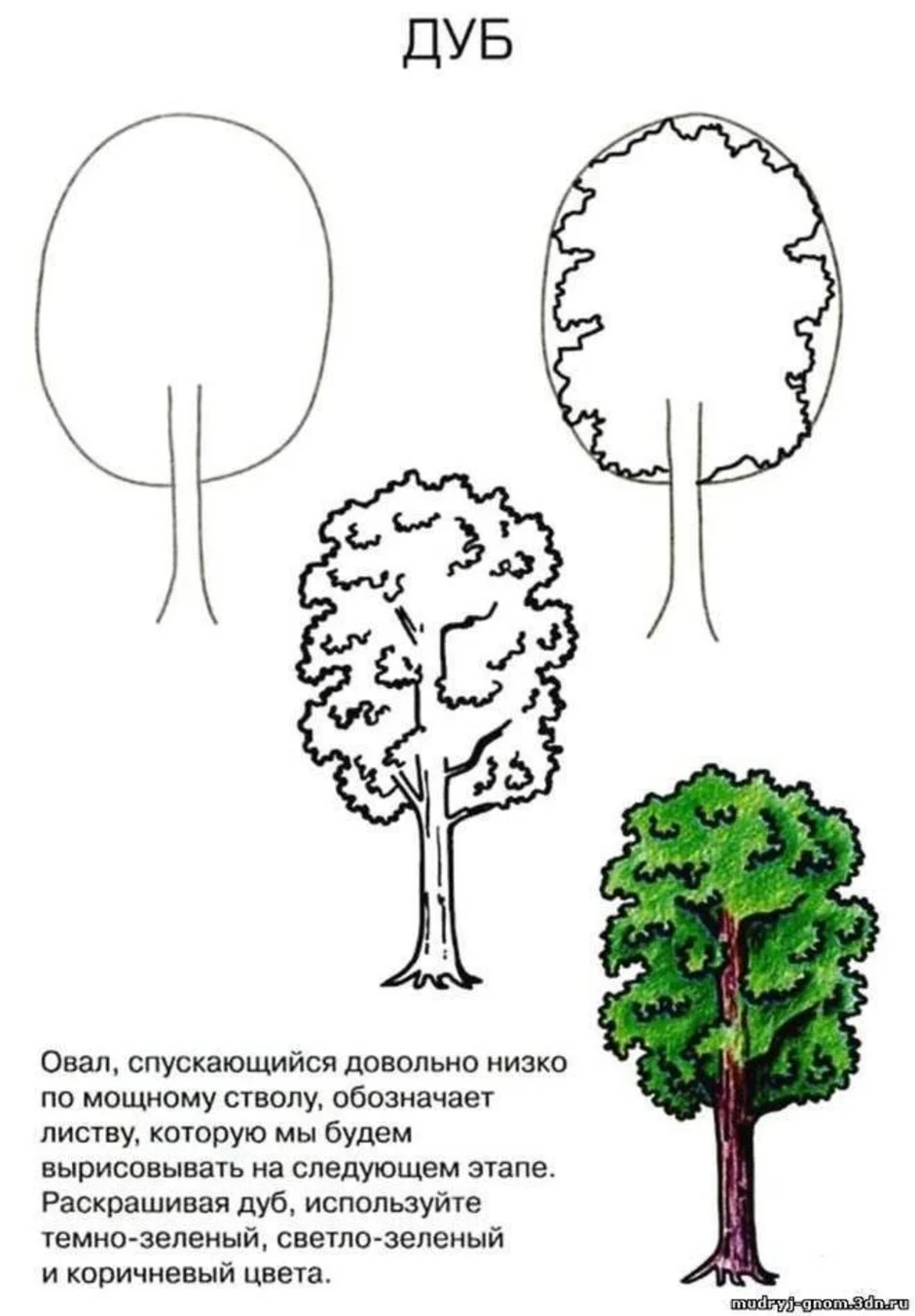 Как рисовать дерево 2 класс