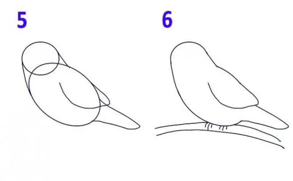 Как легко нарисовать птичку на ветке